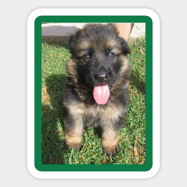 german shepherd black and tan puppy sitting Sticker by Wanderingangel